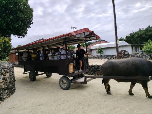 ���̎ʐ^���N���b�N����Ɗg�債�܂�