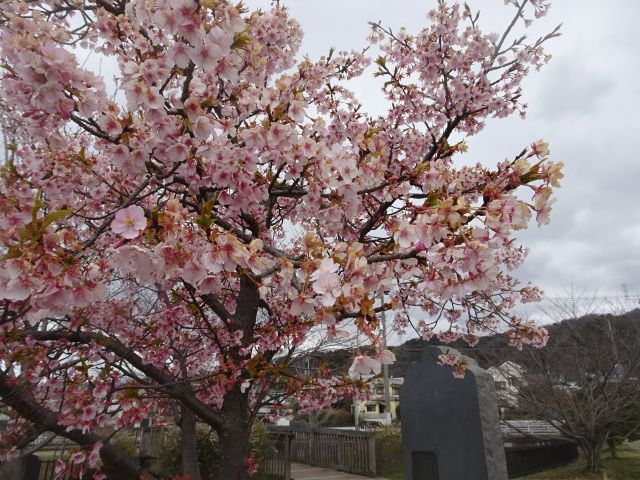 ���̎ʐ^���N���b�N����Ɗg�債�܂�